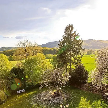 Hotel Romantik Schloss Rettershof 4*